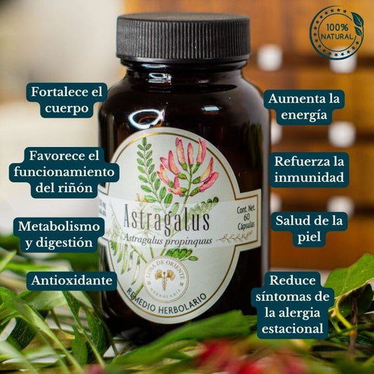 Astragalus
