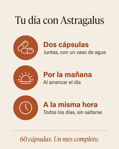 Astragalus