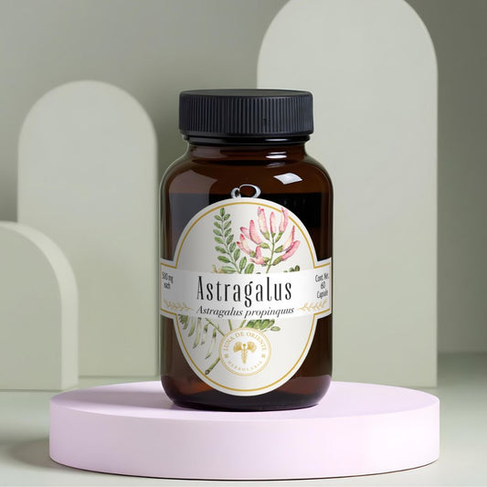 Astragalus